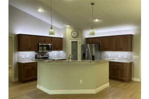 8733 156TH PLACE, SUMMERFIELD, FL 34491 - MLS#MFRG5100205