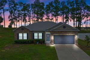 1115 Mountain Fir Ct, MINNEOLA