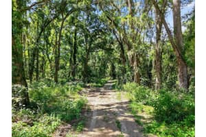 5538 SE HIGHWAY 42, SUMMERFIELD, FL 34491 - MLS#MFRG5100319