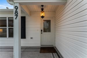 987 CANDLER PLACE, THE VILLAGES, FL 32162 - MLS#MFRG5100324