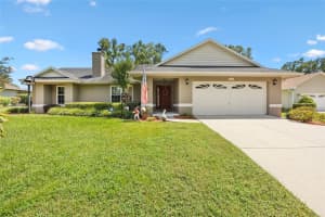 23416 SUNSET VIEW, SORRENTO, FL 32776 - MLS#MFRG5100329