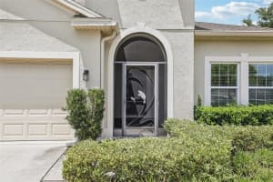 3207 ZANDER DRIVE, GRAND ISLAND, FL 32735 - MLS#MFRG5100479