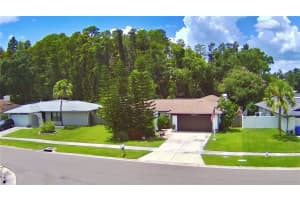 16212 Oakmanor Dr, TAMPA