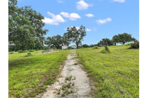 CORALWOOD LN, GROVELAND, FL 34736 - MLS#MFRG5100568