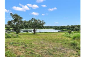CORALWOOD LN, GROVELAND, FL 34736 - MLS#MFRG5100568