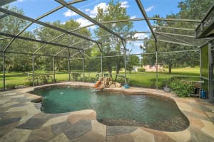 7685 LAKE ANGELINA DRIVE, MOUNT DORA, FL 32757 - MLS#MFRG5100569