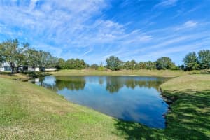 6319 BERKSHIRE PASS, LEESBURG, FL 34748 - MLS#MFRG5100585