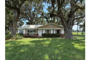 2955 C 478a, WEBSTER