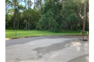 TIMBER LN, EUSTIS, FL 32726 - MLS#MFRG5100620