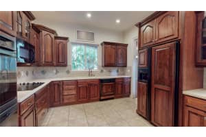 10430 BIRCH TREE LANE, WINDERMERE, FL 34786 - MLS#MFRG5100638