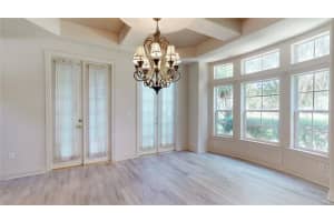 10430 BIRCH TREE LANE, WINDERMERE, FL 34786 - MLS#MFRG5100638