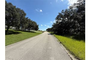 Lot 98 BEAR DEN DRIVE, EUSTIS, FL 32736 - MLS#MFRG5100659