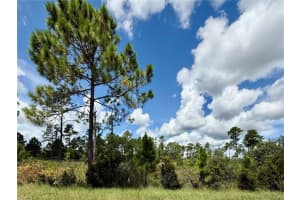 LOT 8 HONEYSUCKLE STREET, EUSTIS, FL 32736 - MLS#MFRG5100661
