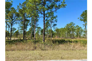LOT 9 HONEYSUCKLE STREET, EUSTIS, FL 32736 Sold 12/12/25