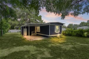 27301 LEMON AVENUE, OKAHUMPKA, FL 34762 - MLS#MFRG5100692