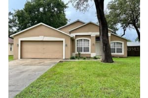 10205 SPRING MOSS AVE, CLERMONT, FL 34711 - MLS#MFRG5100706