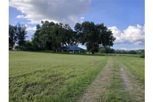 4949 BRANTLEY ROAD, GROVELAND, FL 34736 - MLS#MFRG5100726