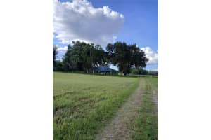 4949 BRANTLEY ROAD, GROVELAND, FL 34736 - MLS#MFRG5100726