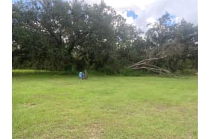 7935 OTT WILLIAMS ROAD, CLERMONT, FL 34714 - MLS#MFRG5100813