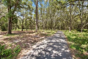 7701 170TH AVENUE ROAD, OCKLAWAHA, FL 32179 - MLS#MFRG5100869