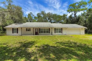 2901 GRIFFIN VIEW DRIVE, LADY LAKE, FL 32159 - MLS#MFRG5100887