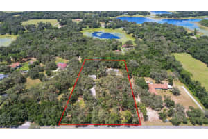2901 GRIFFIN VIEW DRIVE, LADY LAKE, FL 32159 - MLS#MFRG5100887