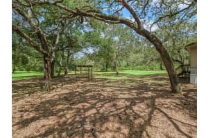 11765 47TH DRIVE, WEBSTER, FL 33597 - MLS#MFRG5100896