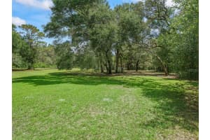 11765 47TH DRIVE, WEBSTER, FL 33597 - MLS#MFRG5100896