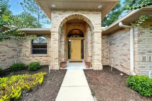 25603 TROON AVENUE, SORRENTO, FL 32776 - MLS#MFRG5100915