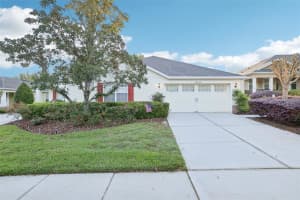 30308 Lipizzan Ter, MOUNT DORA
