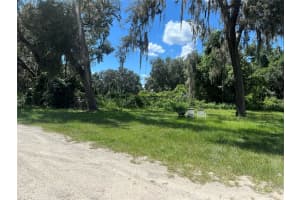 19865 SE HIGHWAY 42, UMATILLA, FL 32784 - MLS#MFRG5100952