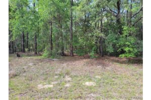 609 CANTURYBURY LANE, CITRUS SPRINGS, FL 34434 Sold 10/02/25