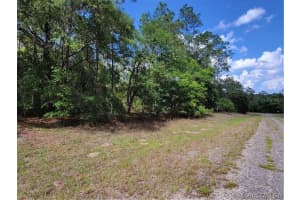 609 CANTURYBURY LANE, CITRUS SPRINGS, FL 34434 Sold 10/02/25