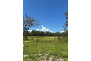 LAKE YALE RD, UMATILLA, FL 32784 - MLS#MFRG5100985
