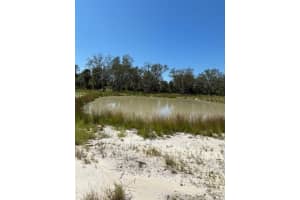 LAKE YALE RD, UMATILLA, FL 32784 - MLS#MFRG5100985