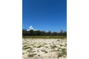 LAKE YALE RD, UMATILLA, FL 32784 - MLS#MFRG5100985