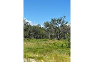 LAKE YALE RD, UMATILLA, FL 32784 - MLS#MFRG5100985