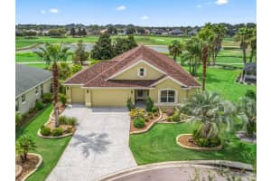 2010 Allure Loop, THE VILLAGES