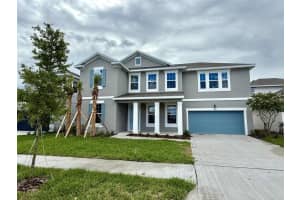 17409 Crisp Apple Ln, LAND O LAKES