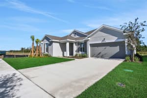 17397 CRISP APPLE LANE, LAND O LAKES, FL 34638 - MLS#MFRG5101120