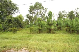 YOUTH CAMP RD, GROVELAND, FL 34736 - MLS#MFRG5101133
