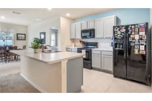 1527 WHITE HAWK WAY, GROVELAND, FL 34736 - MLS#MFRG5101134