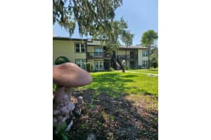 21204 SANDALWOOD DRIVE, WILDWOOD, FL 34785 - MLS#MFRG5101160