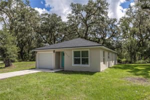 2250 CR 423, LAKE PANASOFFKEE, FL 33538 - MLS#MFRG5101175