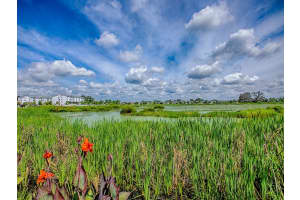 5230 DRAGONFLY DRIVE, WILDWOOD, FL 34785 - MLS#MFRG5101180