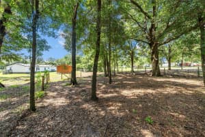 7965 147TH PLACE, SUMMERFIELD, FL 34491 - MLS#MFRG5101184