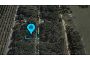 3180 ANSONIA ROAD, AVON PARK, FL 33825 - MLS#MFRG5101200