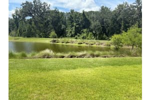 7000 TUCSON TRAIL, THE VILLAGES, FL 34762 - MLS#MFRG5101263