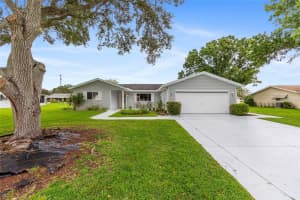 10435 178TH PLACE, SUMMERFIELD, FL 34491 - MLS#MFRG5101317