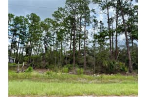 LOT 20 BALSAM STREET, EUSTIS, FL 32736 Sold 01/07/26